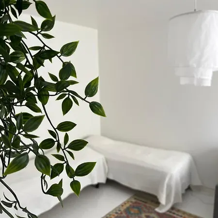 Apartament Design In The Heart Of Punavuori *